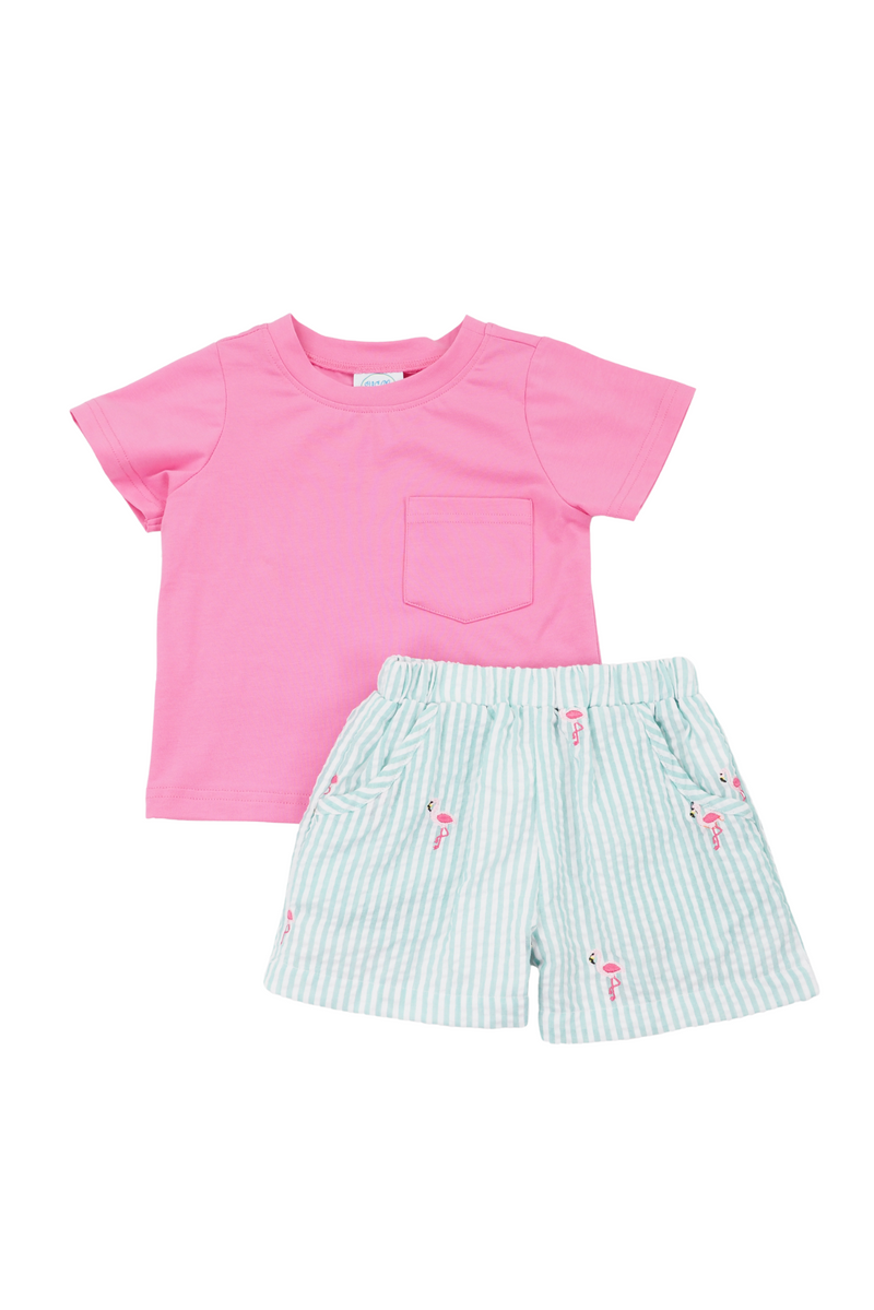 Boys Flamingo Shorts Set