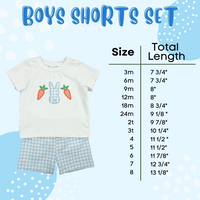 Boys Blue Linen Shorts Set