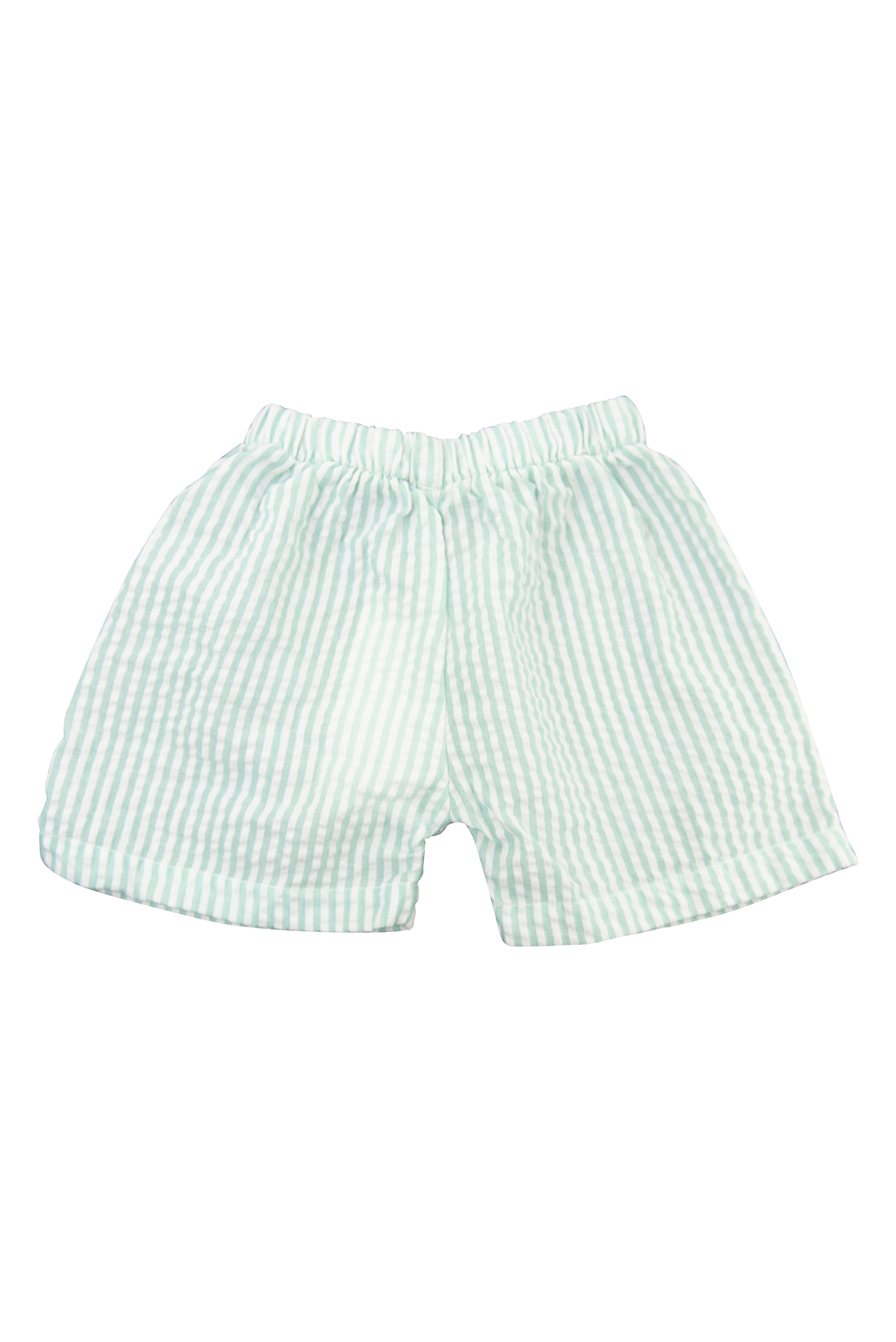 Boys Mint Seersucker Shorts