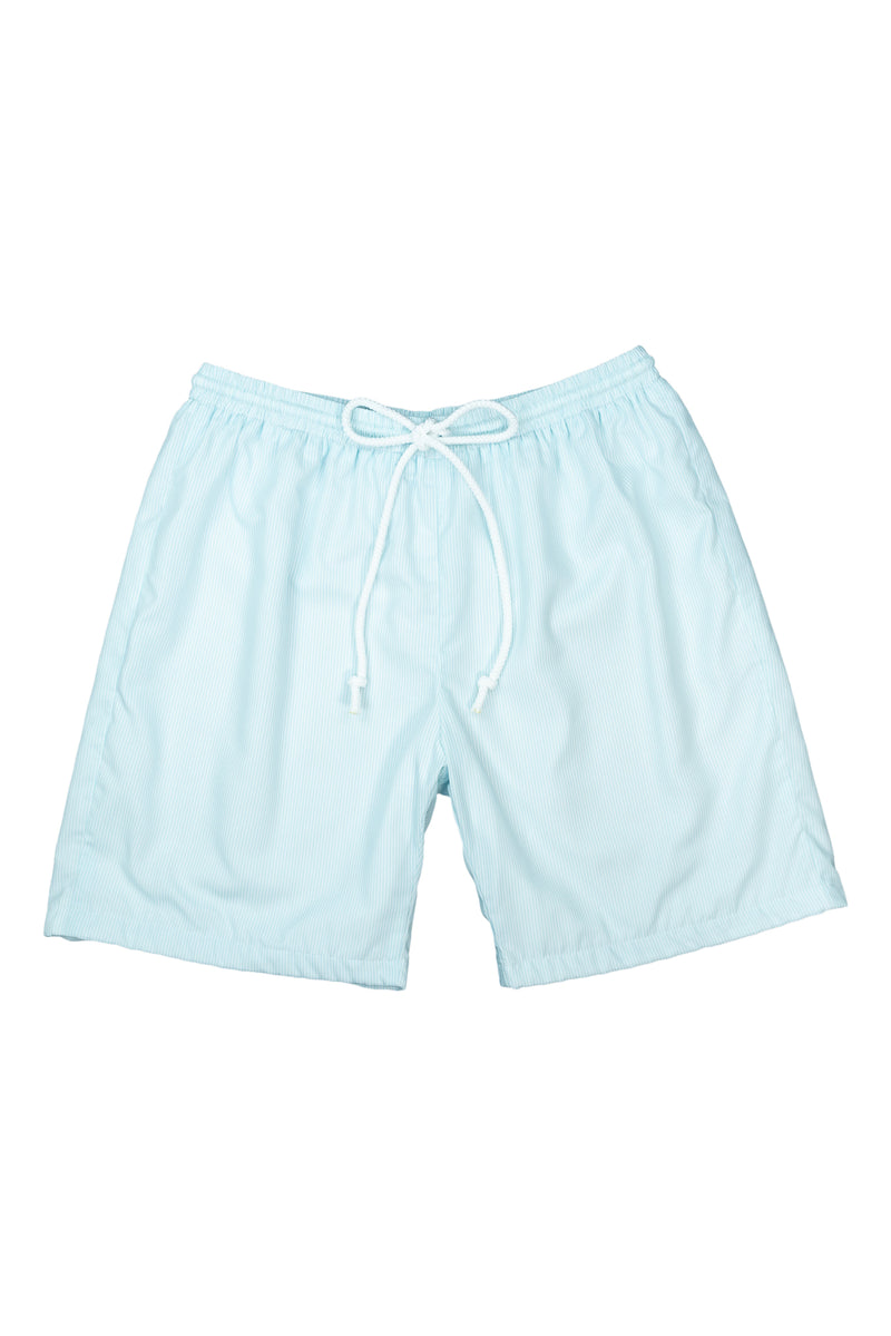 Men's Blue Stripe Swim Shorts