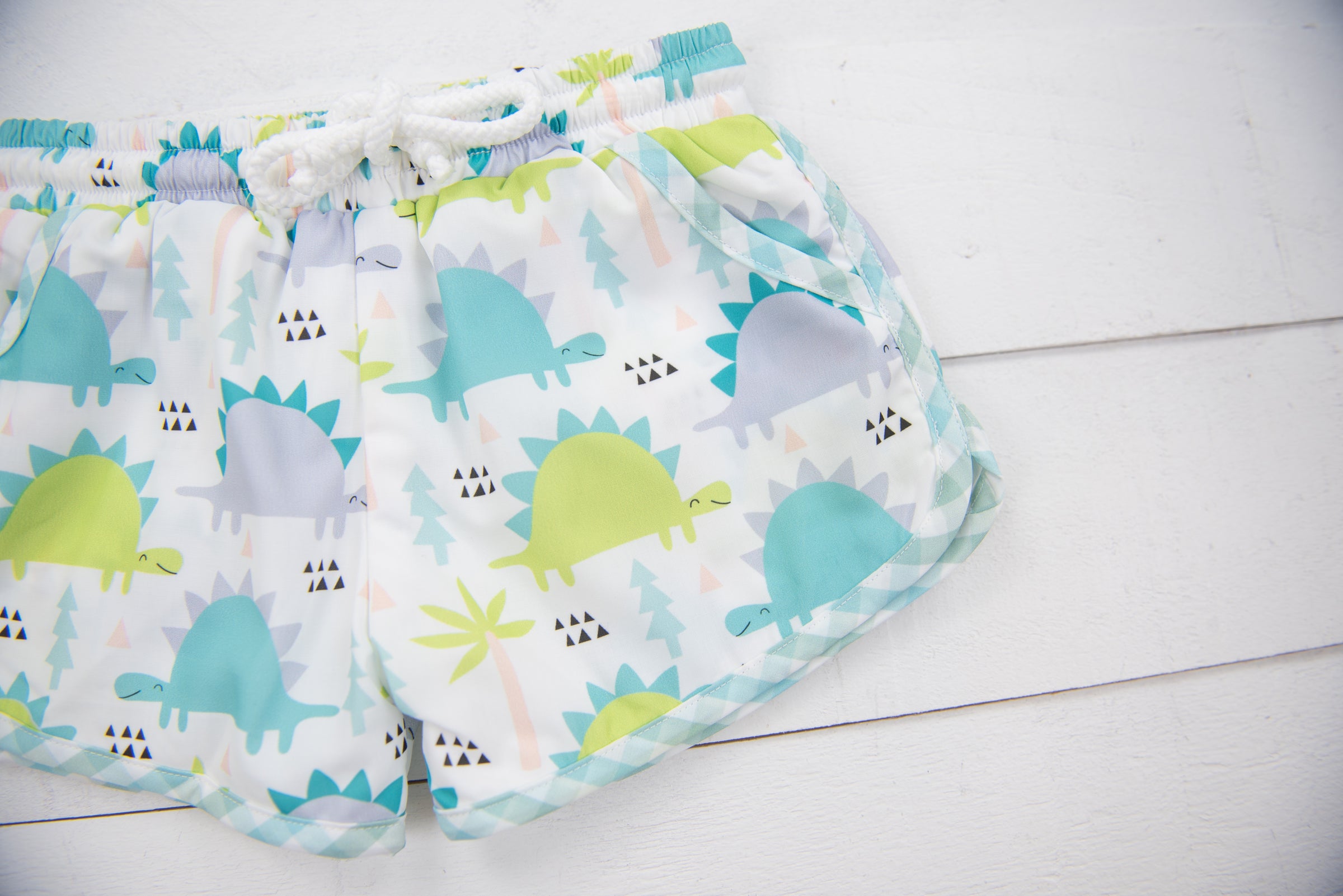 Boys Aqua Dino Swim Trunks