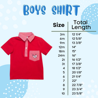 Boys Dino Shirt Only