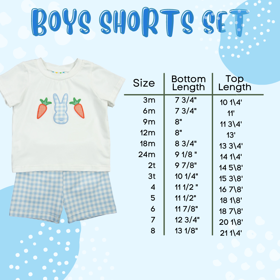 Boys Flamingo Shorts Set